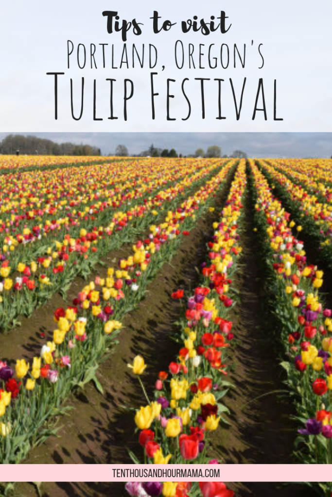 The Woodburn Tulip Festival near Portland is a must-do activity for visiting Oregon this spring. Here, tips to visit the tulip festival with kids. Ten Thousand Hour Mama
