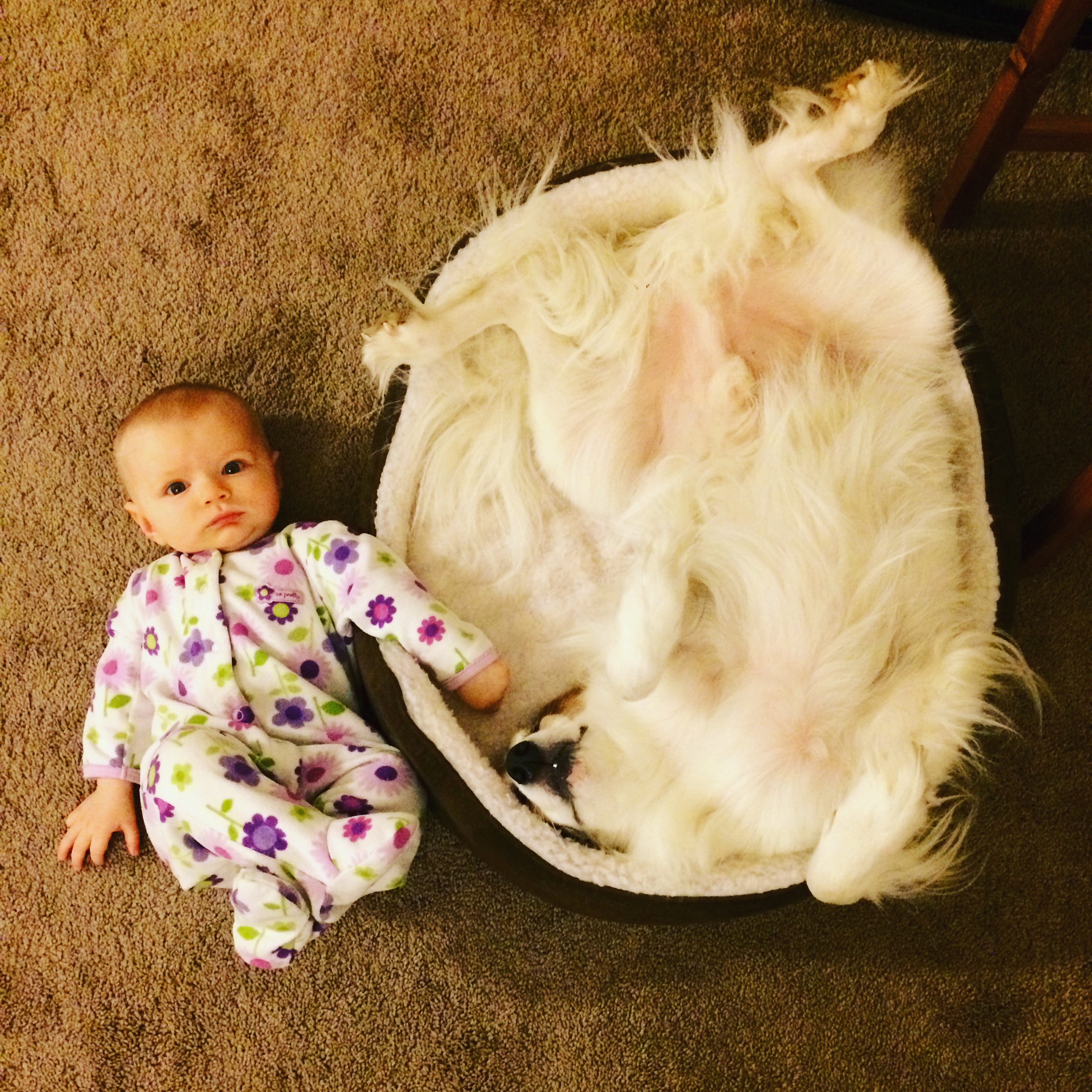 Baby and dog Ten Thousand Hour Mama
