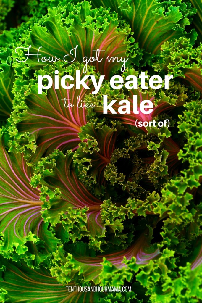picky eater kale