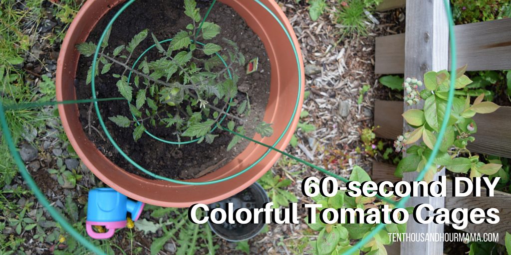 60-second DIY Colorful Tomato Cages