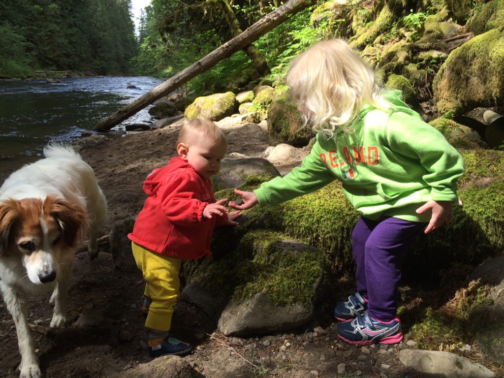The Old Salmon River Trail on Mt. Hood, just outside Portland, Oregon, is great for a family hike: Its gentle slopes, clear river and rocky beaches make for a fun family adventure! Ten Thousand Hour Mama