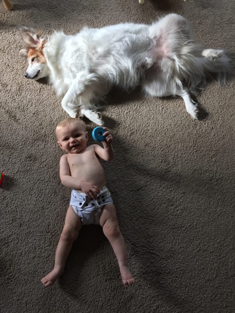11 month old baby with dog and diaper