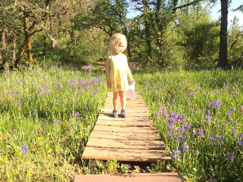 Camassia Nature Preserve lets kids and families explore nature (and wildflowers!) minutes outside Portland, Oregon. Ten Thousand Hour Mama