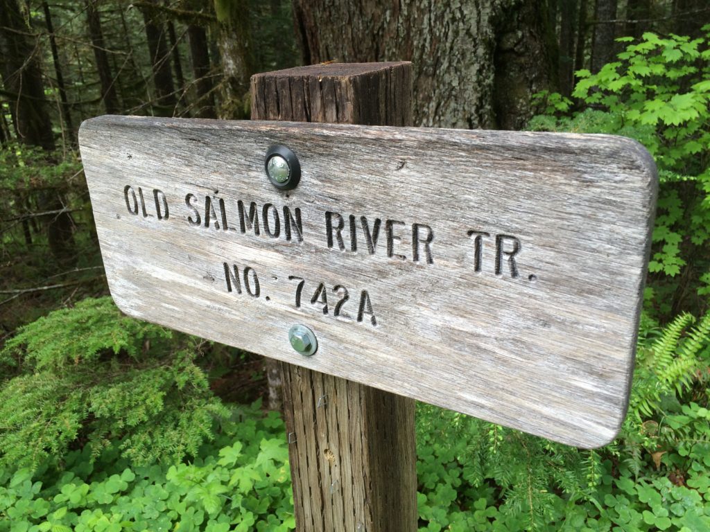The Old Salmon River Trail is a family friendly hike on Mt. Hood near Portland. Ten Thousand Hour Mama