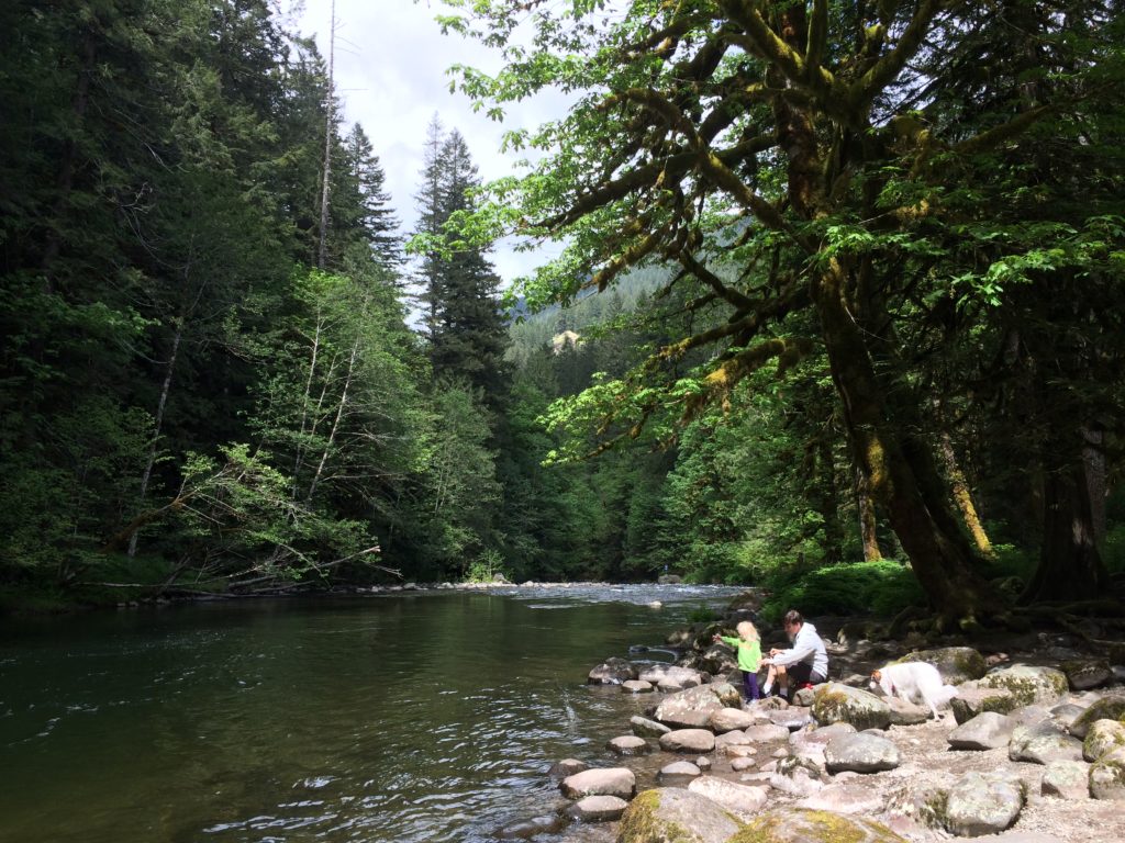 The Old Salmon River Trail is a family friendly hike on Mt. Hood near Portland. Ten Thousand Hour Mama