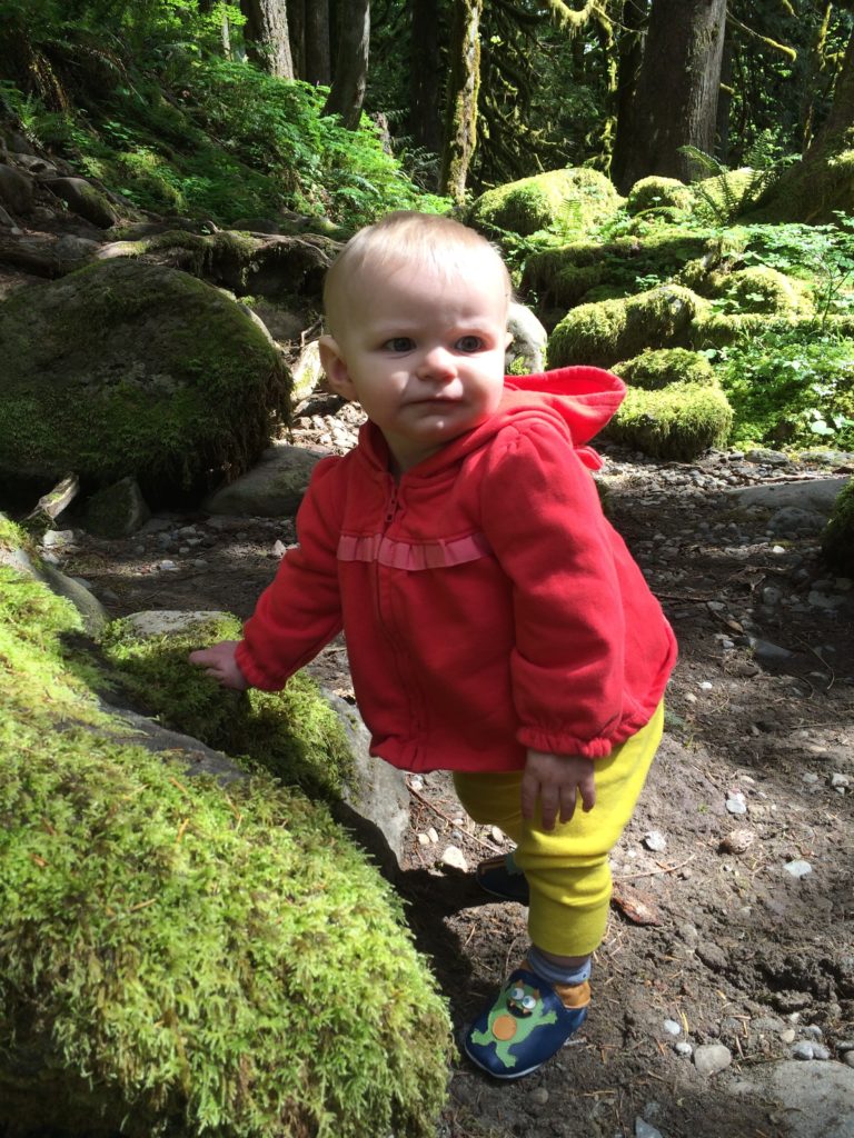 The Old Salmon River Trail is a family friendly hike on Mt. Hood near Portland. Ten Thousand Hour Mama