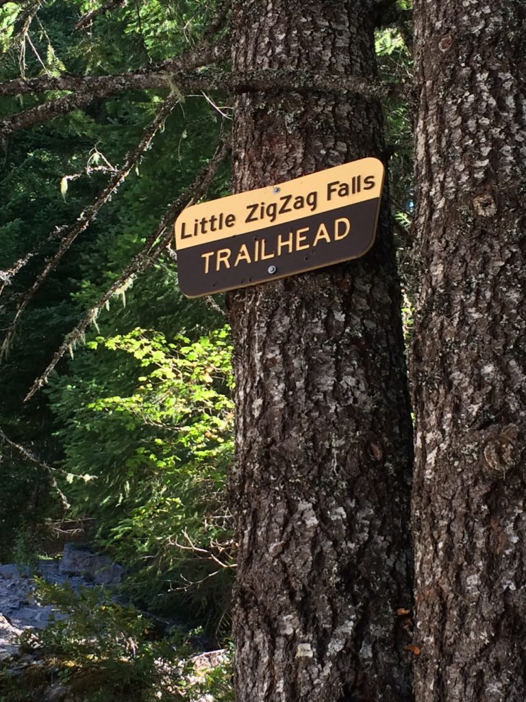 Just a half-mile from the parking area, you'll hike to Little Zigzag falls: a hike perfect for kids & families on Mt Hood! Ten Thousand Hour Mama