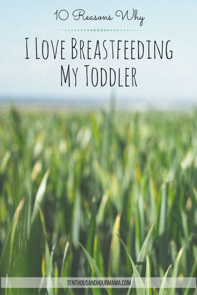 It's not always easy, but breastfeeding a toddler has a ton of rewards. Ten Thousand Hour Mama