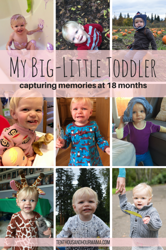 At 18 months, I'm capturing memories of my big little toddler. Ten Thousand Hour Mama