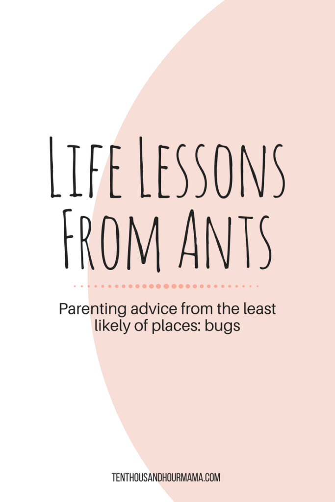 When my home had an ant infestation, the bugs—surprisingly—taught me some good parenting (and life) advice. Ten Thousand Hour Mama