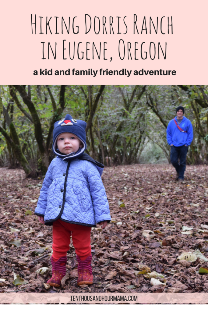 Eugene, Oregon kid and family friendly hikes: Hazelnut orchards of Dorris Ranch. Ten Thousand Hour Mama