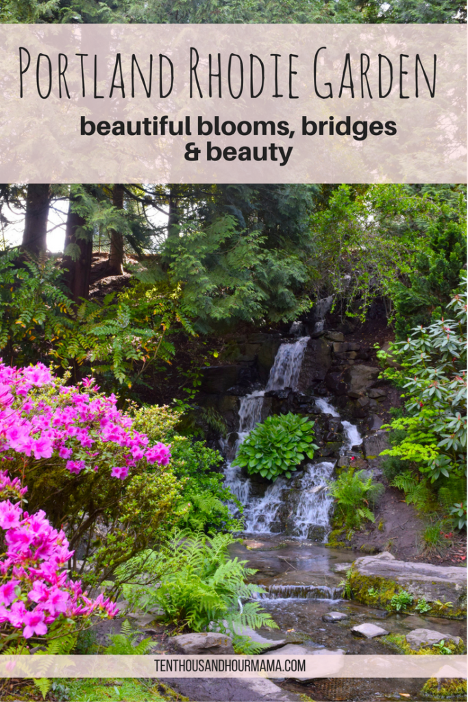 Crystal Springs Portland rhododendron garden: A perfect walk and hiking destination for Oregon travel with kids. Ten Thousand Hour Mama