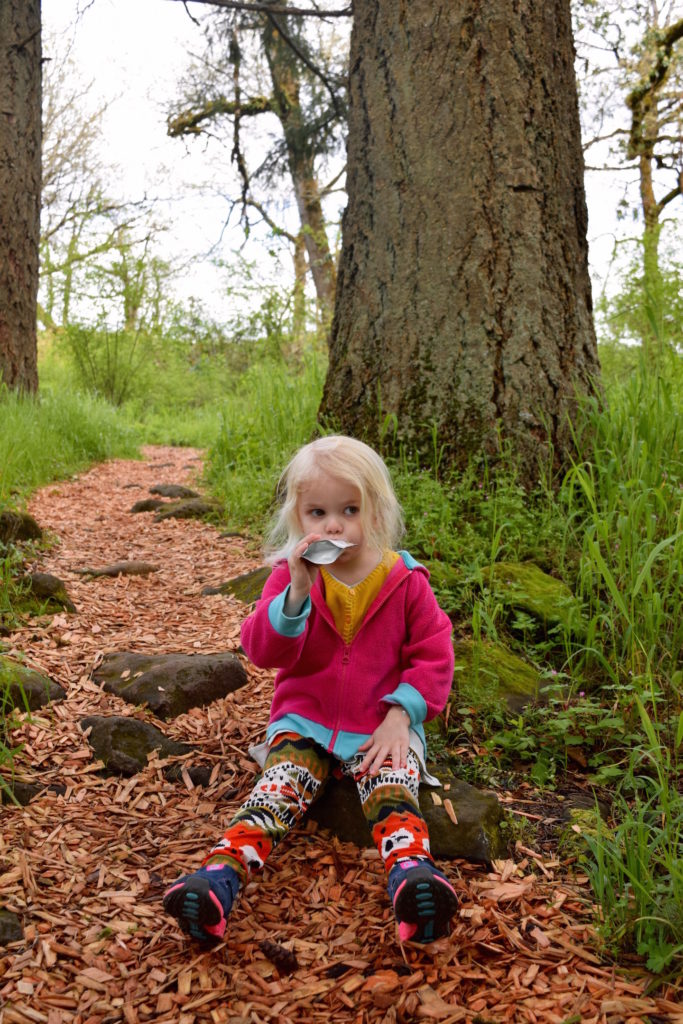 preschooler hike 3 3/4 years old- Ten Thousand Hour Mama