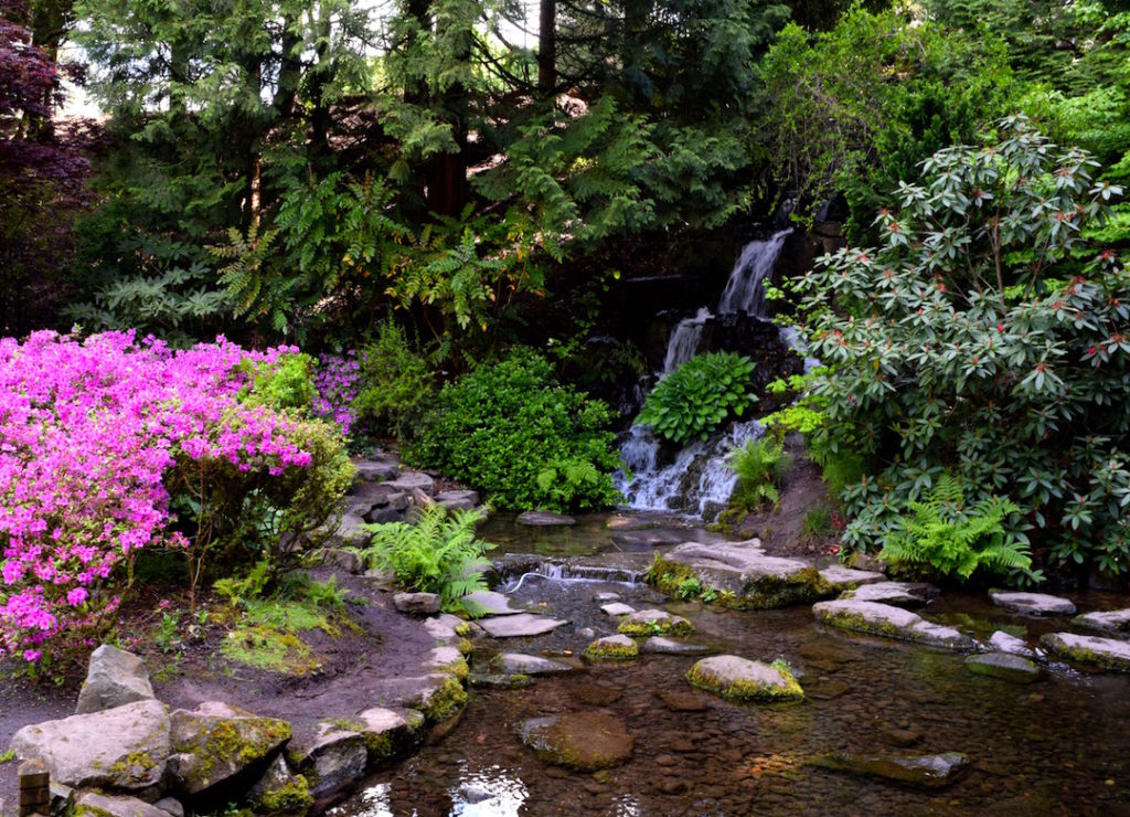 Family kids travel Portland Oregon rhododendron garden hike - Ten Thousand Hour Mama