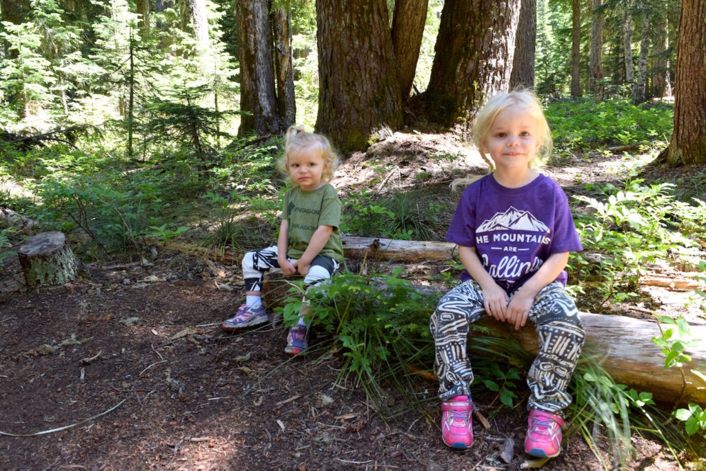 This family friendly hike on Mt. Hood to Twin Lakes is perfect for travel outside Portland, Oregon! Ten Thousand Hour Mama