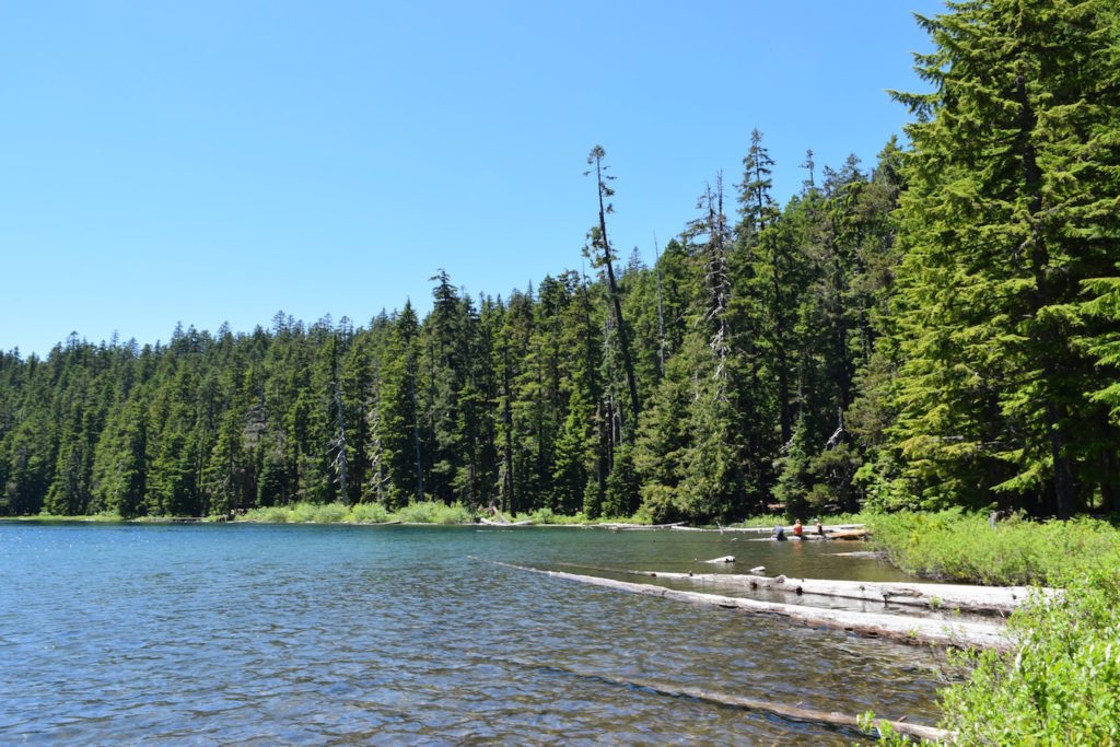 This family friendly hike on Mt. Hood to Twin Lakes is perfect for travel outside Portland, Oregon! Ten Thousand Hour Mama