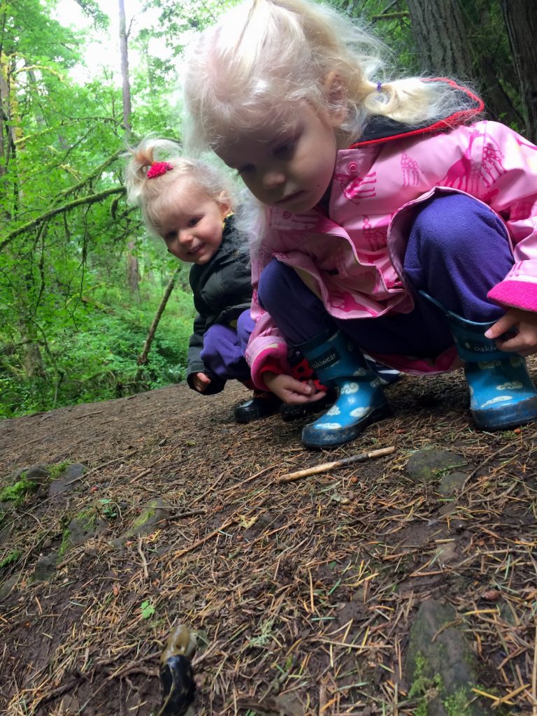 Banana slugs (the 2nd largest in the world!) are just one highlight on a family friendly hike in Portland, Oregon. Ten Thousand Hour Mama