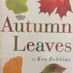 Children's books about fall and autumn leaves - Ten Thousand Hour Mama