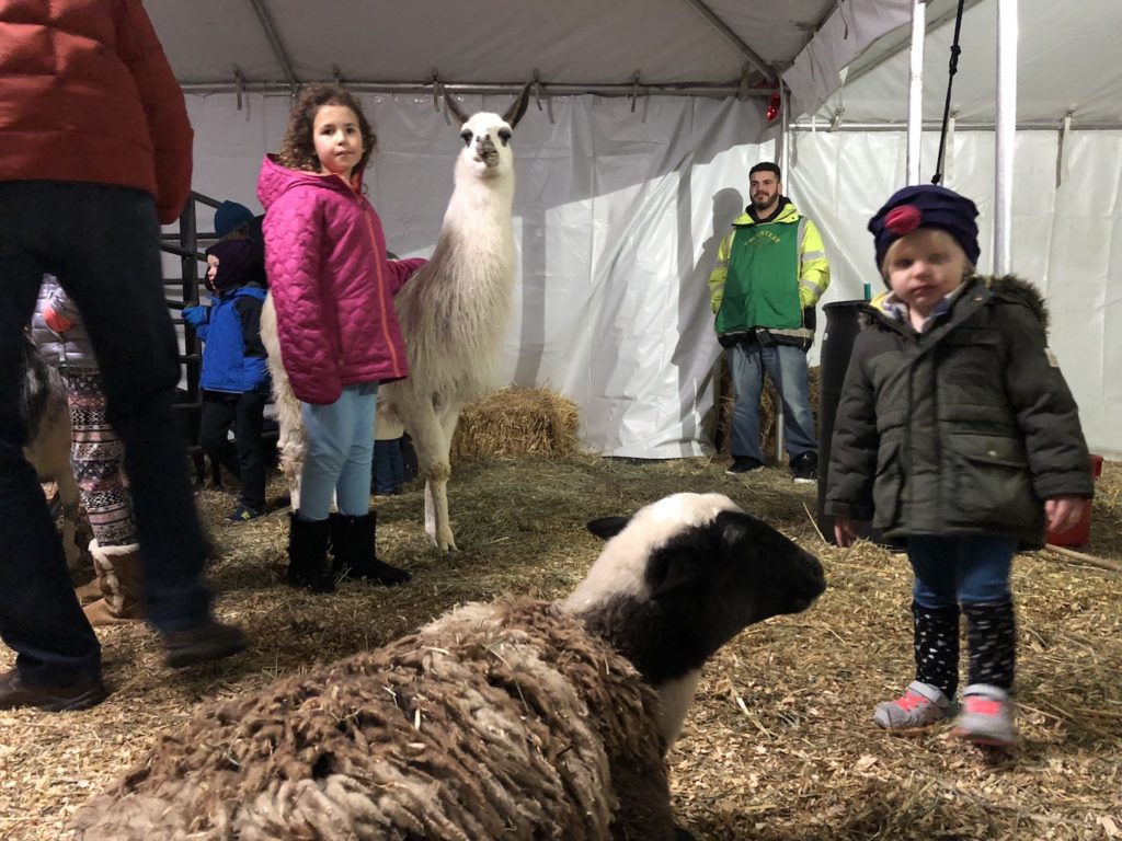 Visiting The Grotto with kids in Portland Oregon has fun Christmas activities, including a petting zoo. Ten Thousand Hour Mama