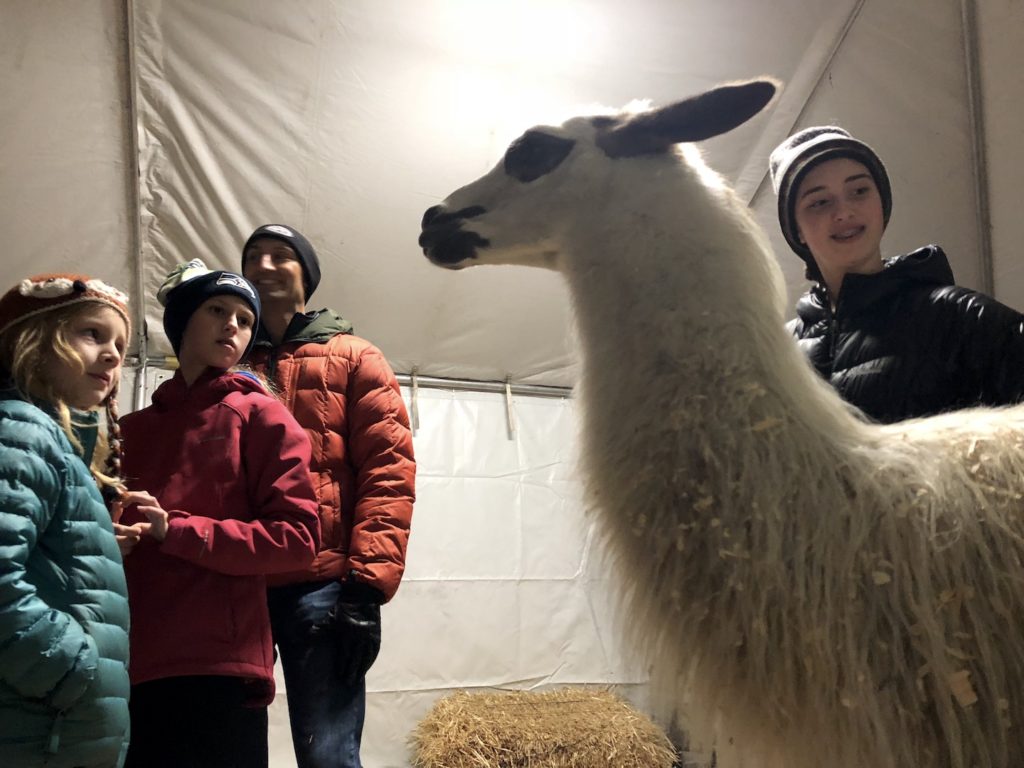Visiting The Grotto with kids in Portland Oregon has fun Christmas activities, including a petting zoo. Ten Thousand Hour Mama
