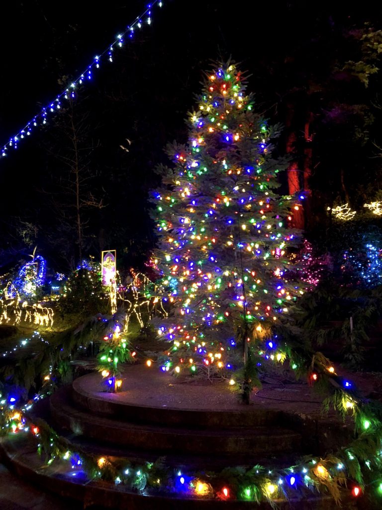 Portland Oregon Christmas lights at The Grotto - Ten Thousand Hour Mama