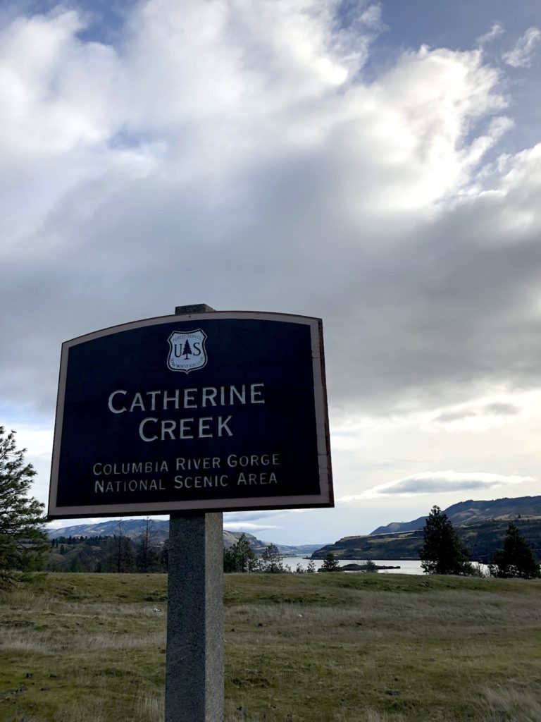 Columbia River Gorge hike near Hood River Oregon: Catherine Creek - Ten Thousand Hour Mama