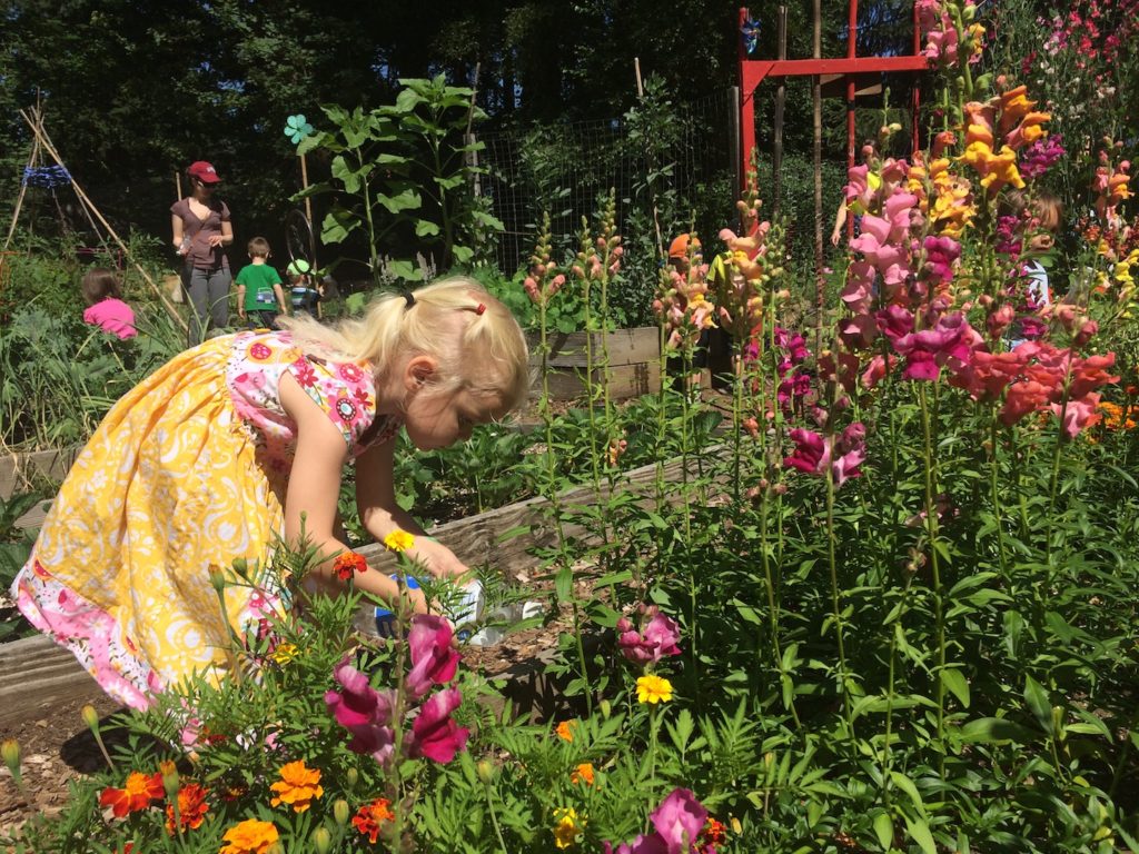 12 reasons to garden with your kids - Ten Thousand Hour Mama