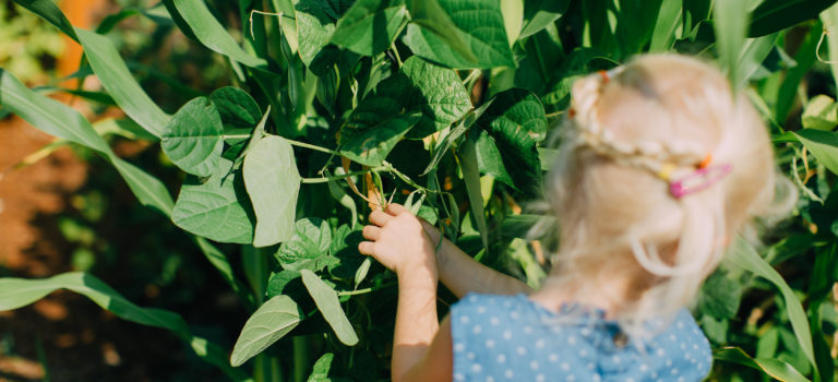 12 reasons why I garden with my kids: Raising mini gardeners