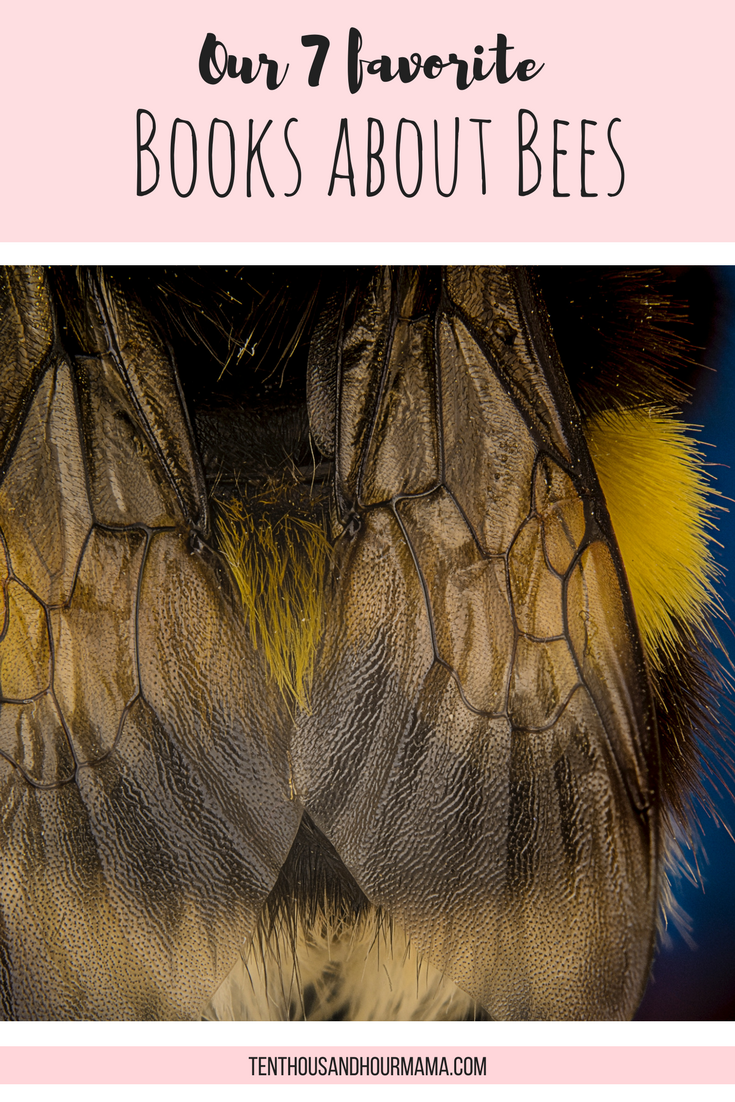 The 7 best children's books about bees: What we're reading